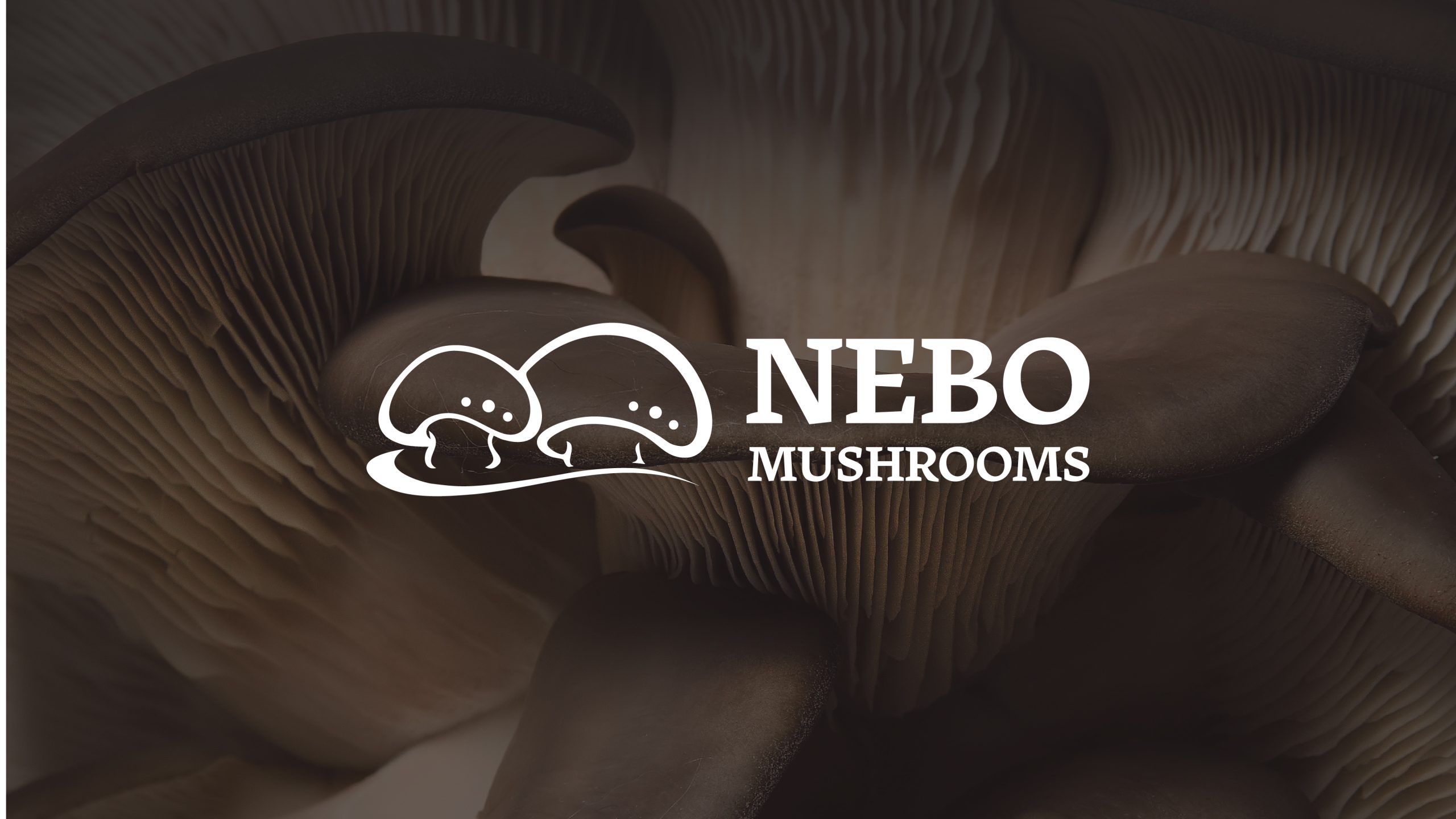 Nebo Mushroom