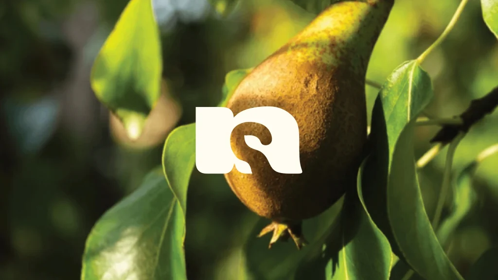 Natusnacky fruit snack branding and packaging — portfolio image 1