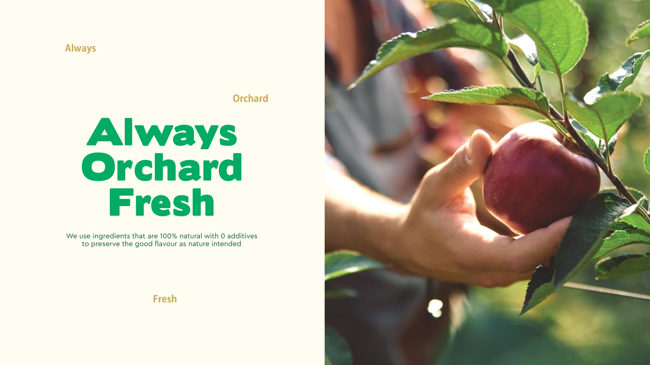 Natusnacky fruit snack branding and packaging — portfolio image 7