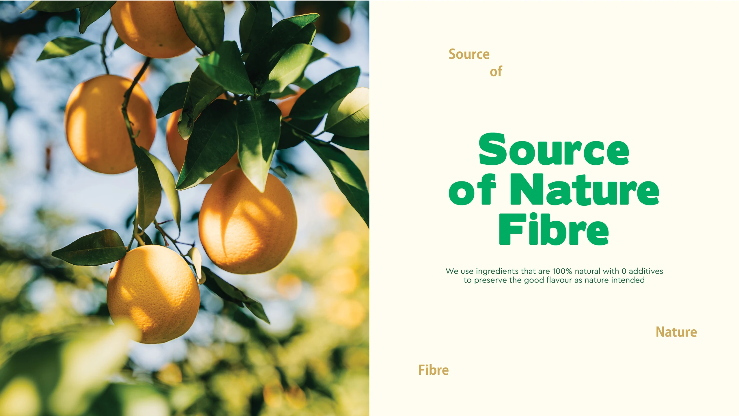 Natusnacky fruit snack branding and packaging — portfolio image 8