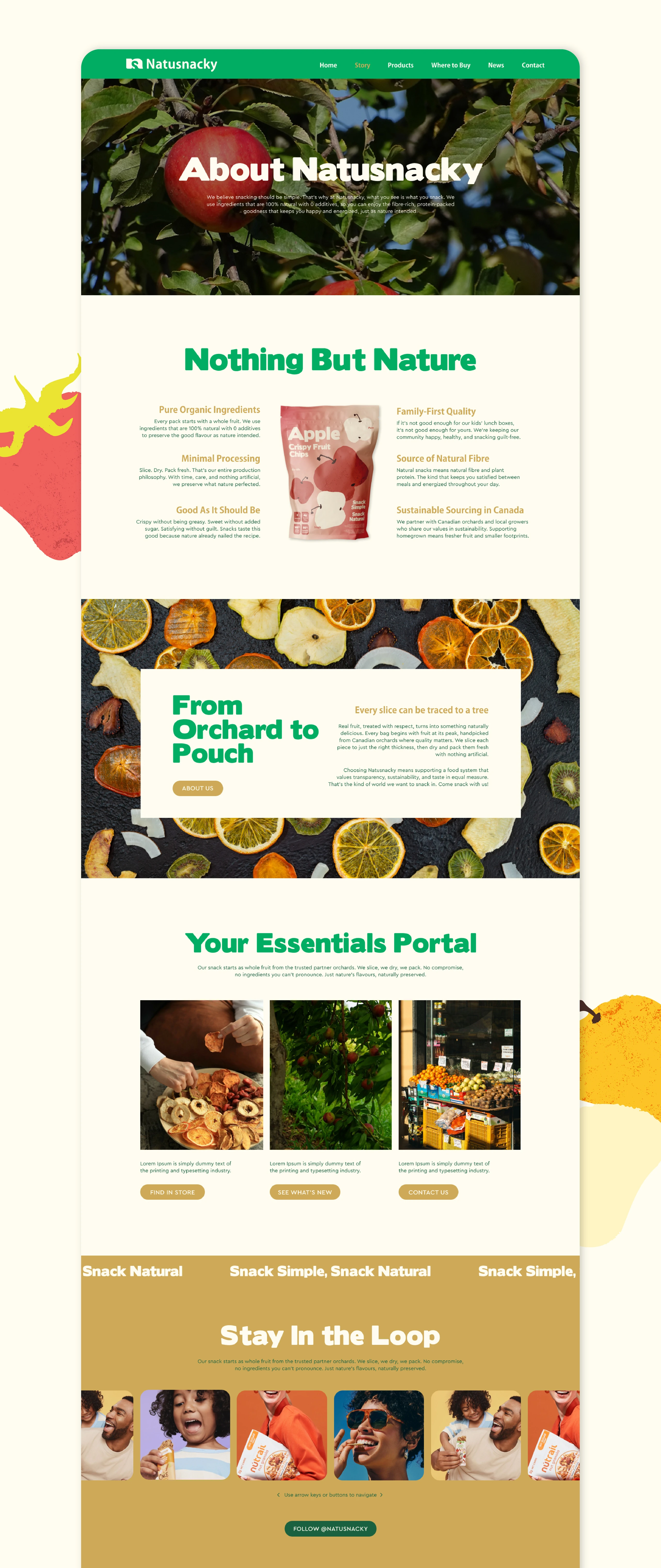 Natusnacky website design — portfolio image 5